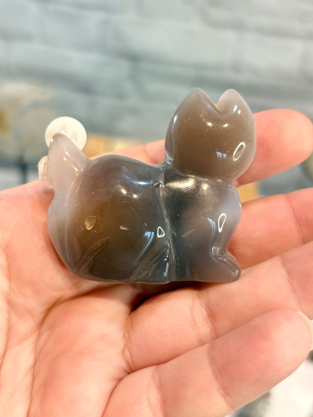 Chat en agate cristallisée