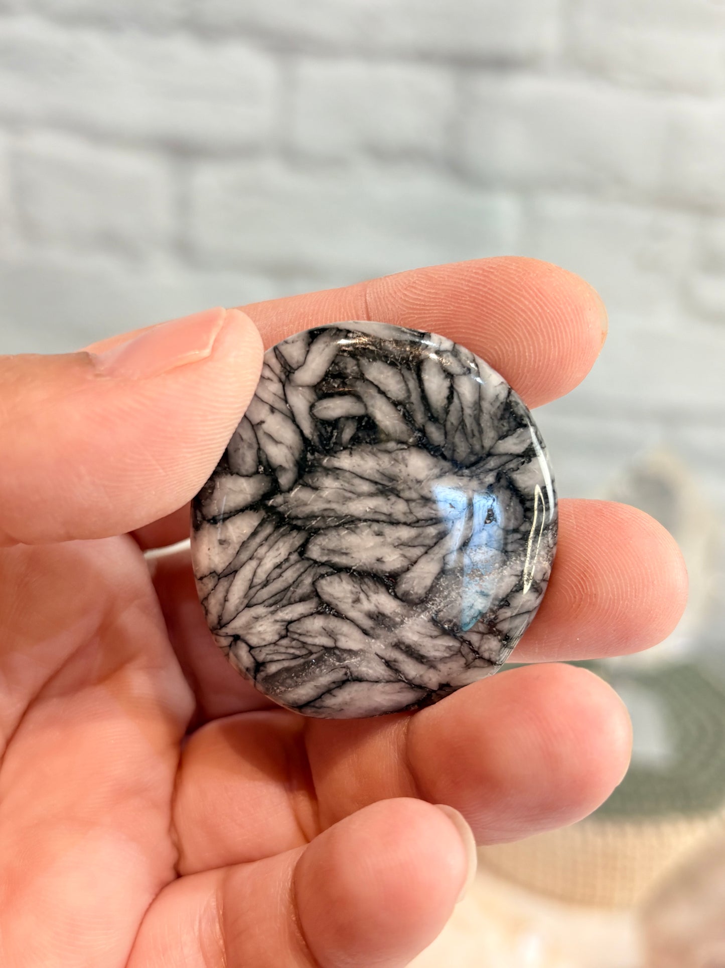 PI2 - Pierre roulée plate de Pinolite