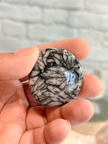 PI2 - Pierre roulée plate de Pinolite
