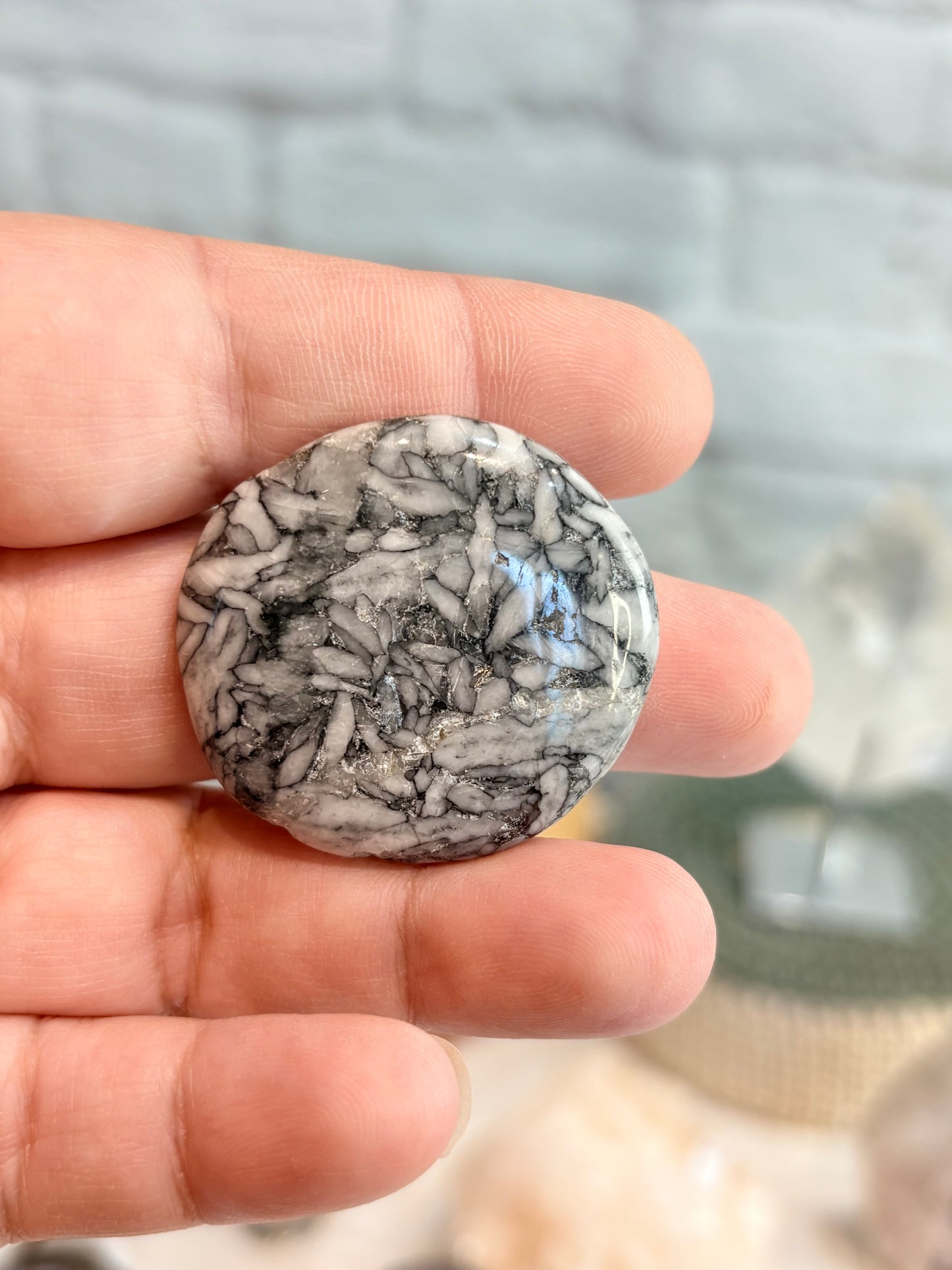 PI3 - Pierre roulée plate de Pinolite