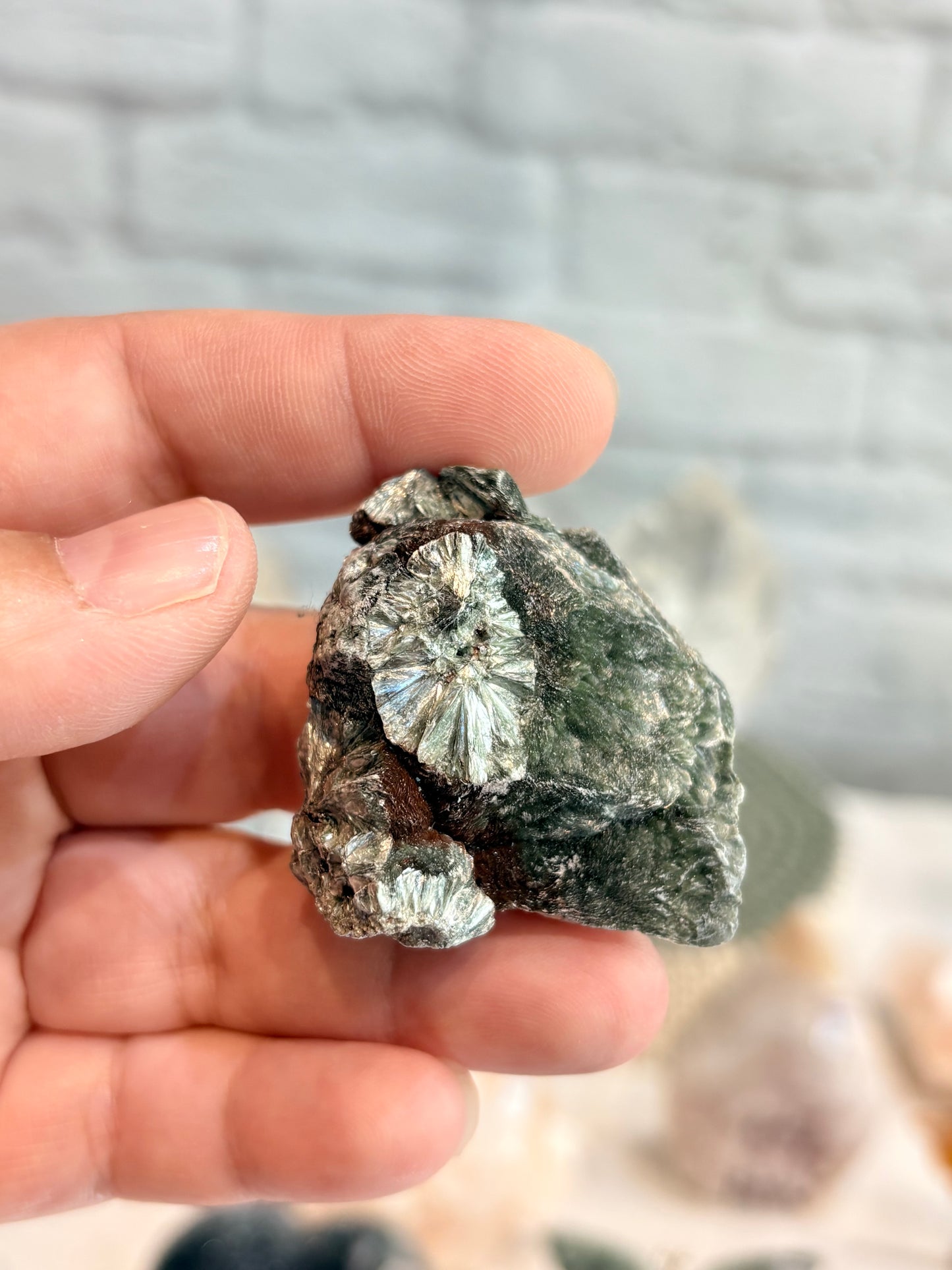 SER1 - Seraphinite brute