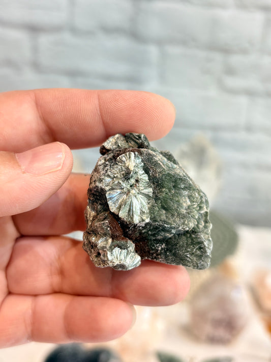 SER1 - Seraphinite brute
