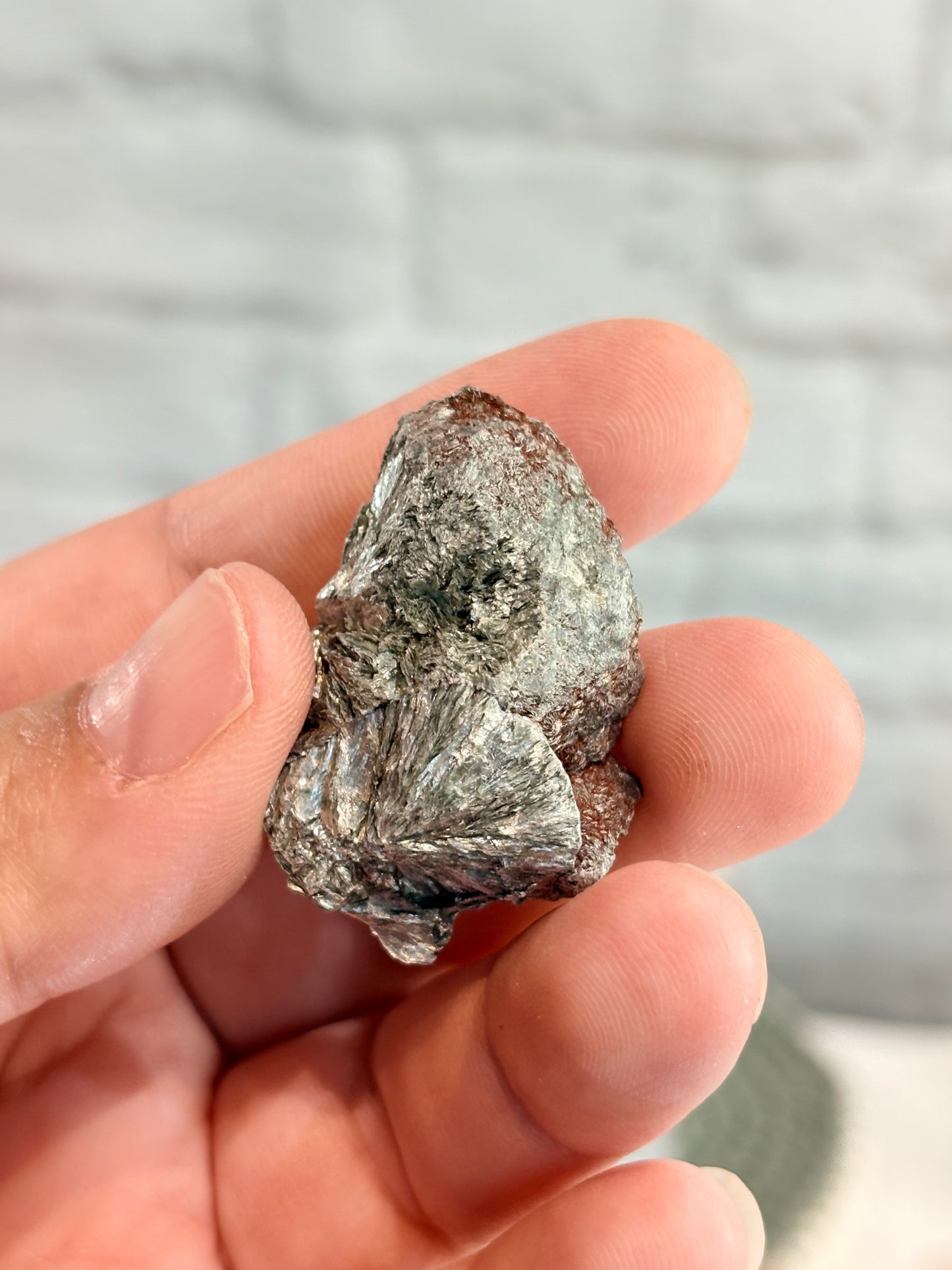 SER3 - Seraphinite brute