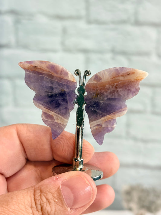 PAA1 - Petit Papillon améthyste
