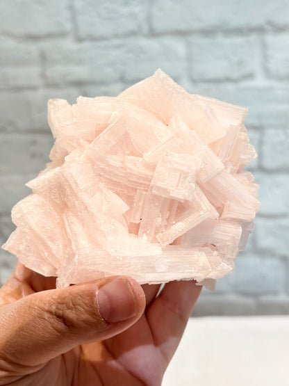 HR4 - halite rose