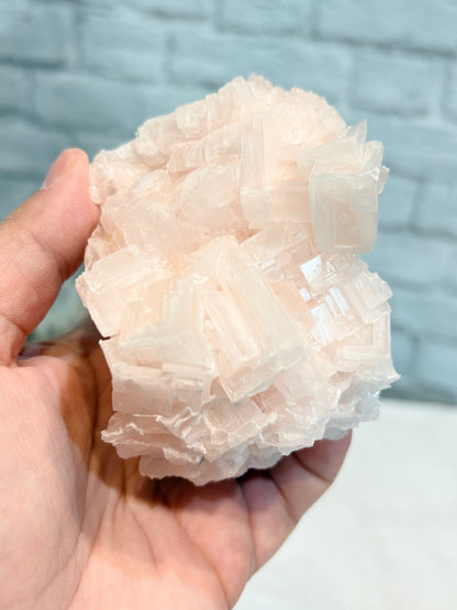 HR8 - halite rose