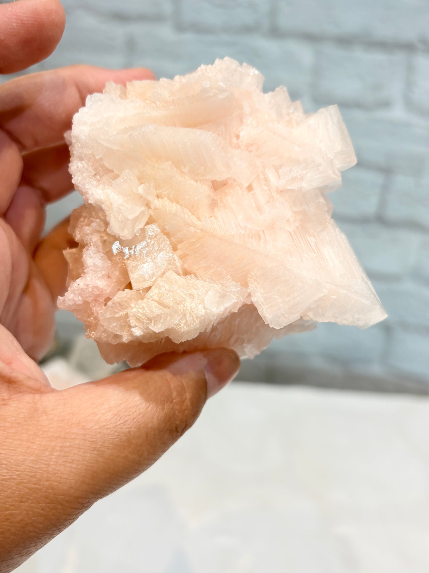 HR10 - halite rose
