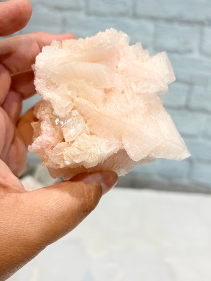 HR10 - halite rose