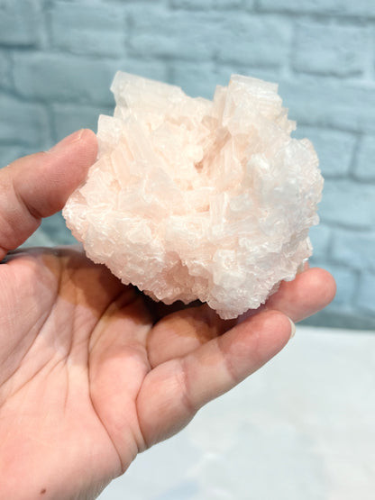 HR10 - halite rose