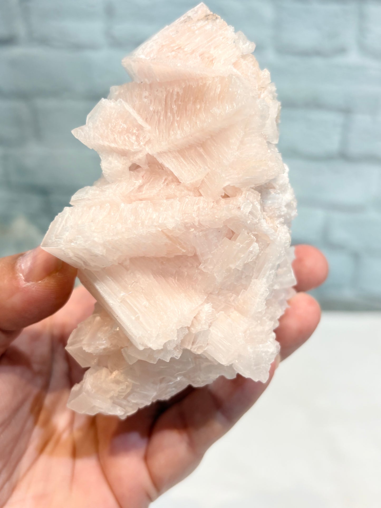 HR11 - halite rose
