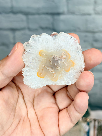 FAG1 - Fleur d’Agate cristallisée