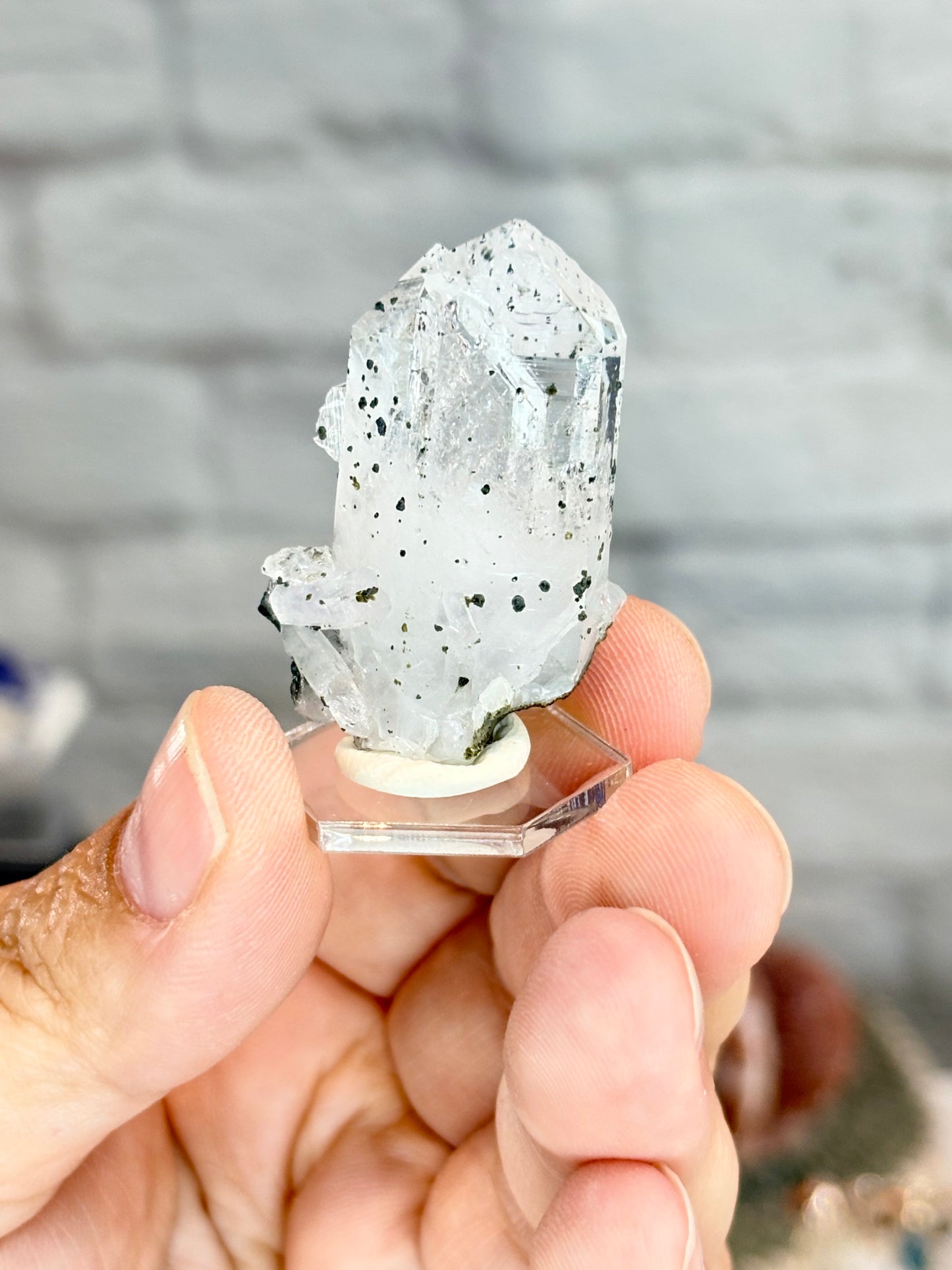 SMGO2 - Quartz à inclusions de pumpelyite