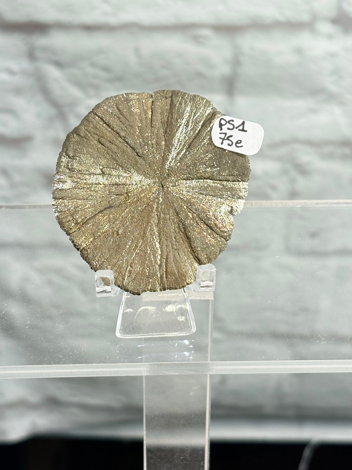 PS1 - Pyrite sun