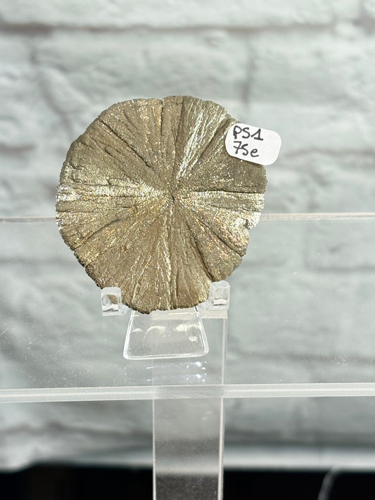 PS1 - Pyrite sun