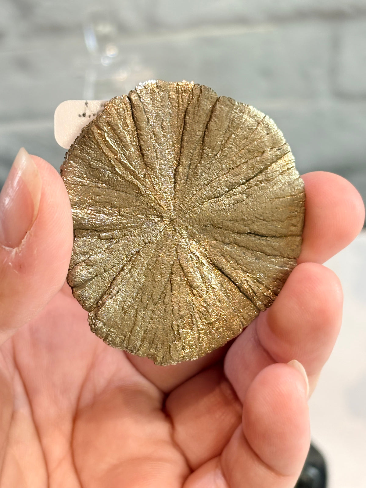 PS1 - Pyrite sun