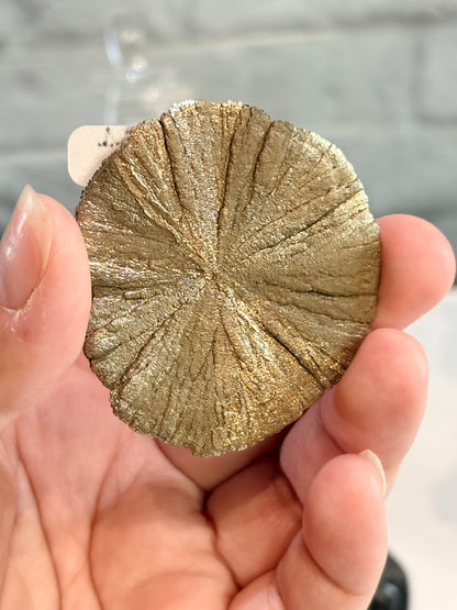 PS1 - Pyrite sun