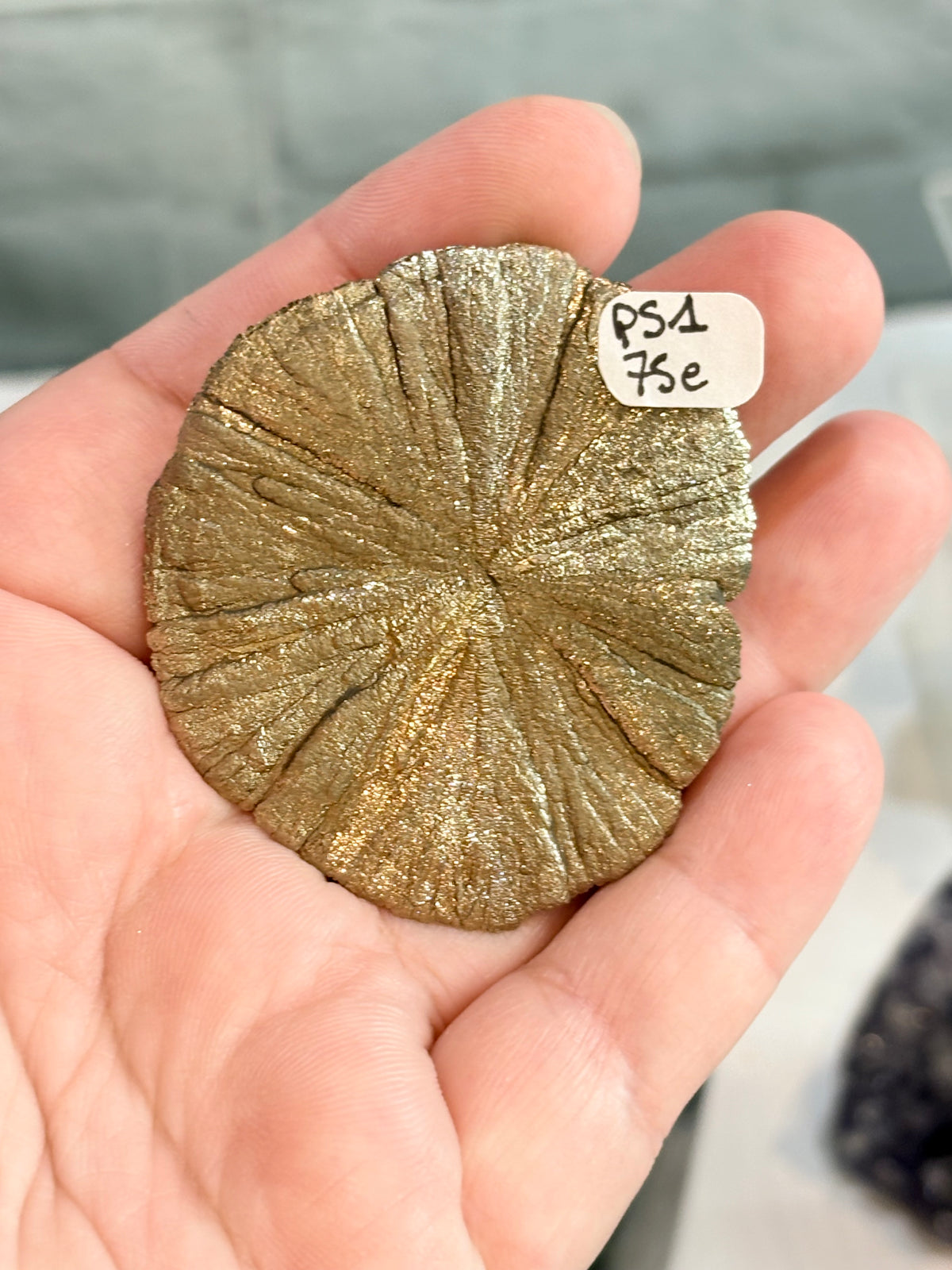 PS1 - Pyrite sun
