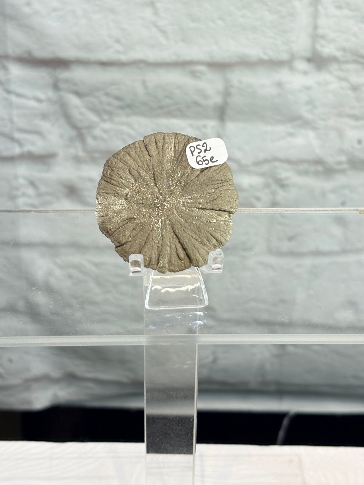 PS2 - Pyrite sun