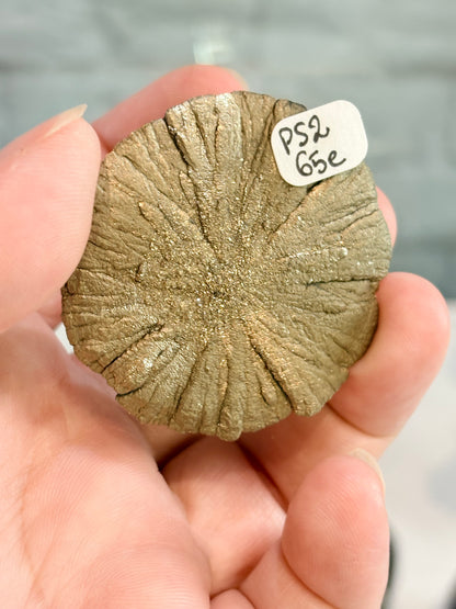 PS2 - Pyrite sun