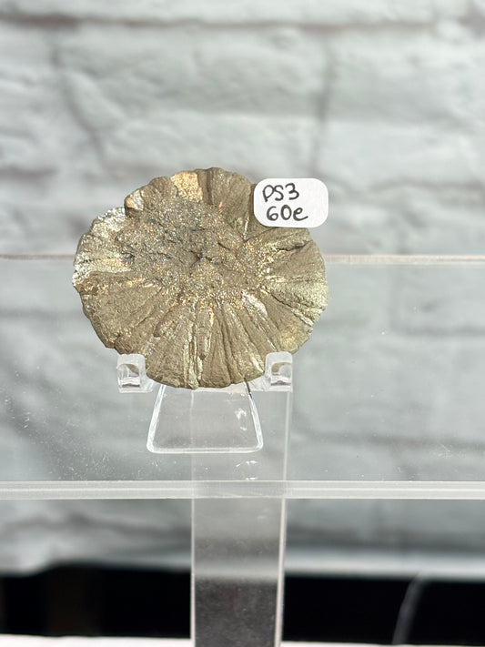 PS3 - Pyrite sun