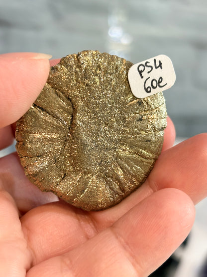 PS4 - Pyrite sun