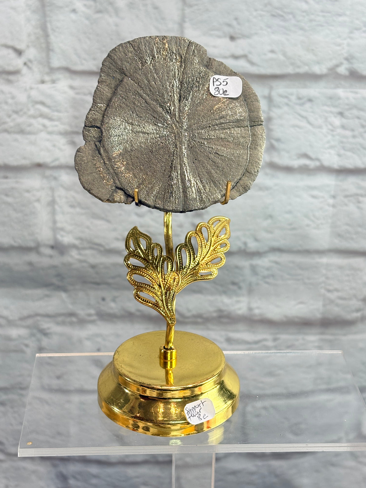 PS5 - Pyrite Sun brut