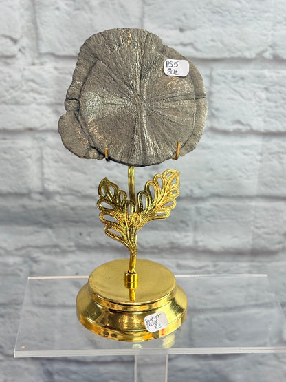 PS5 - Pyrite Sun brut