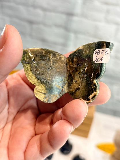 PBF1 - Papillon en bois fossilisé