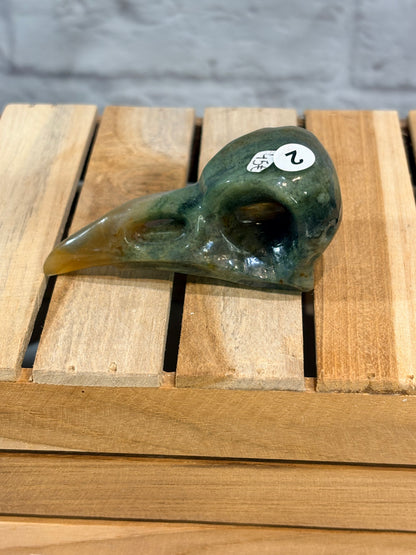 Crâne d’oiseau Jaspe océan