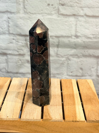 Grande pointe en grenat Sur astrophylite