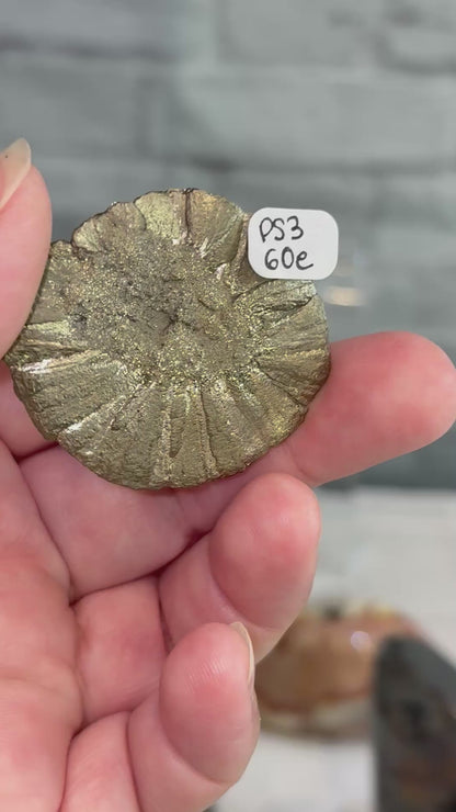 PS3 - Pyrite sun