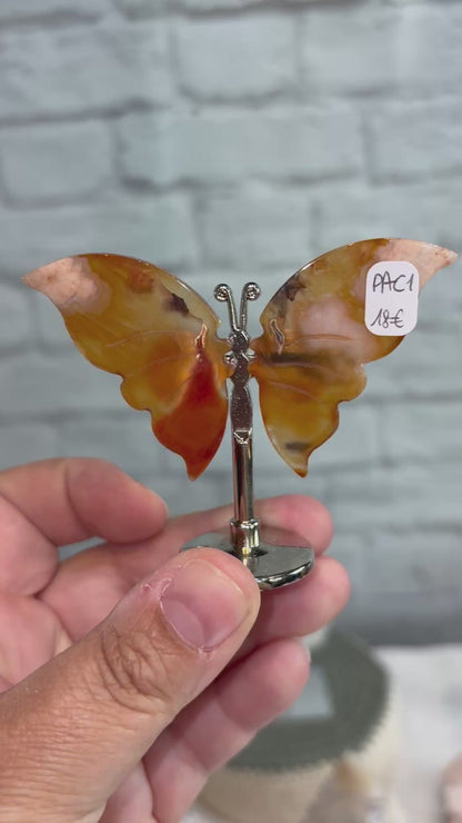 PAA3 - Petit Papillon cornaline