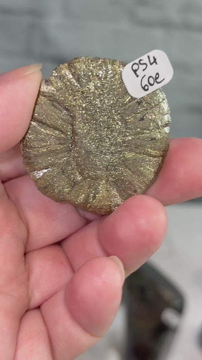 PS4 - Pyrite sun