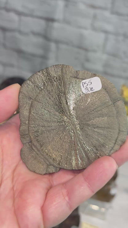 PS5 - Pyrite Sun brut