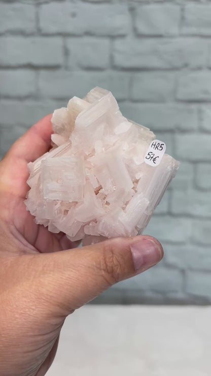 HR5 - halite rose