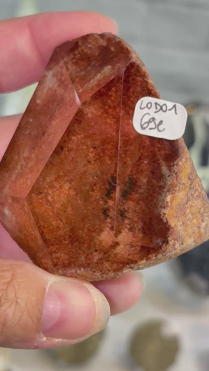 LODO1 - Forme libre de lodolite
