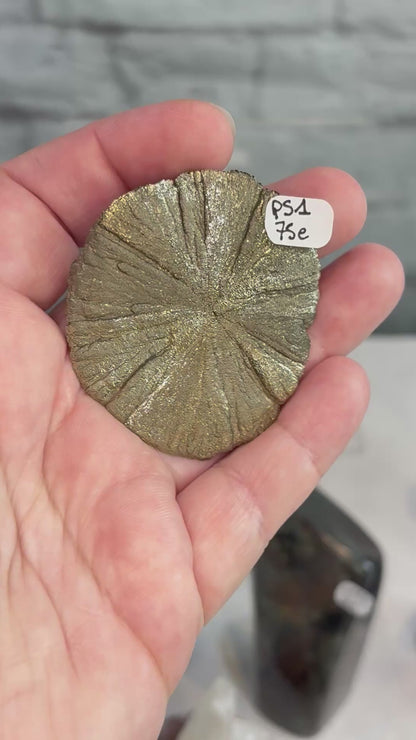 PS1 - Pyrite sun