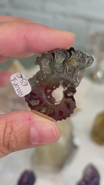 AMOP1 - Ammonite pyritisée