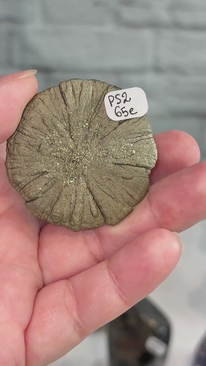 PS2 - Pyrite sun