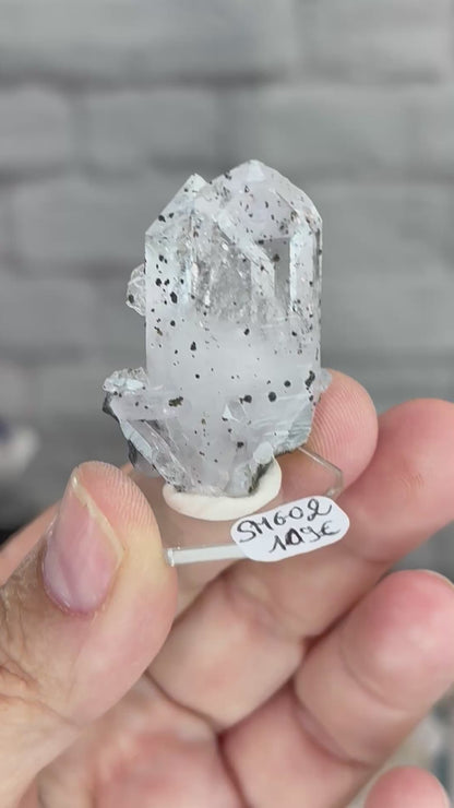 SMGO2 - Quartz à inclusions de pumpelyite